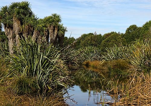 January, 2016 - Travis Wetland