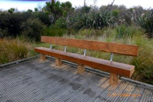 New seat by the Manuka stand.