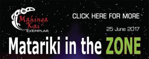 Matariki In The Zone 2017