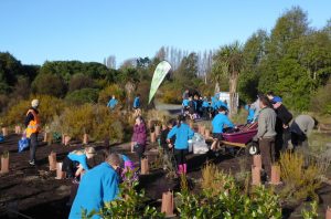 Waitākiri School Arbour Day planting 2017