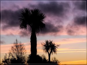 Travis Wetland Sunset 2017 07 10
