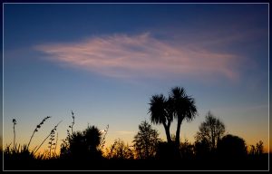 Travis Wetland Sunset 20170822