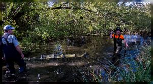John Skilton, Helen McCaughan, Travis Stream March 03 2018