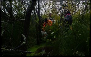 Mudfish Monitoring March 22 2018 Image John Skilton