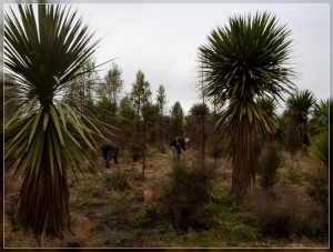 Travis Workday June 2018