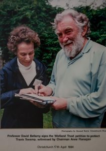 Anne Flanagan, David Bellamy