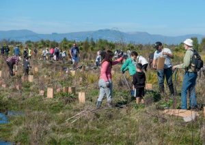 Travis TFC planting day September 2018