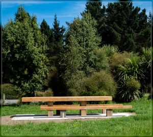 Mairehau Rd picnic table