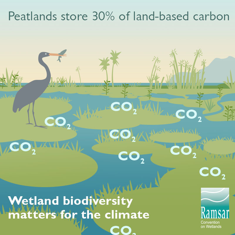 World Wetlands Day 2020