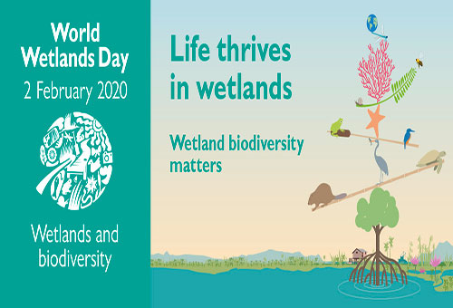 World Wetlands Day 2020