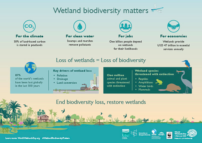 World Wetlands Day 2020