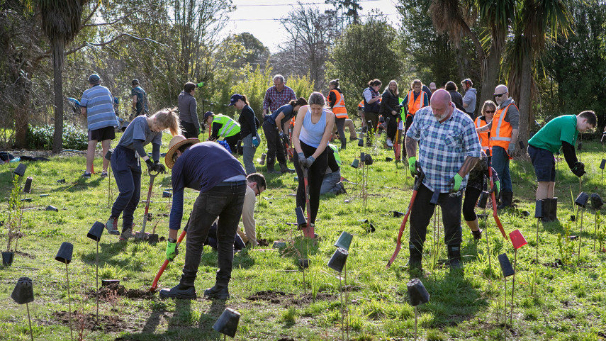 Avon Ōtākaro River Corridor planting