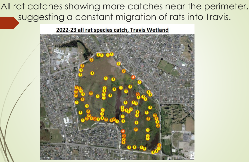 rat catches 2023 season