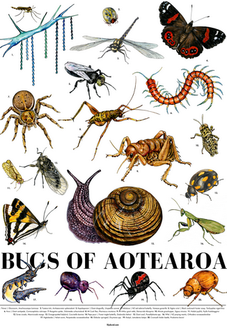 Poster of Bug of the Year 2024 nominees