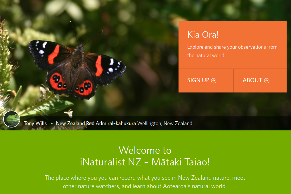 iNaturalist home page