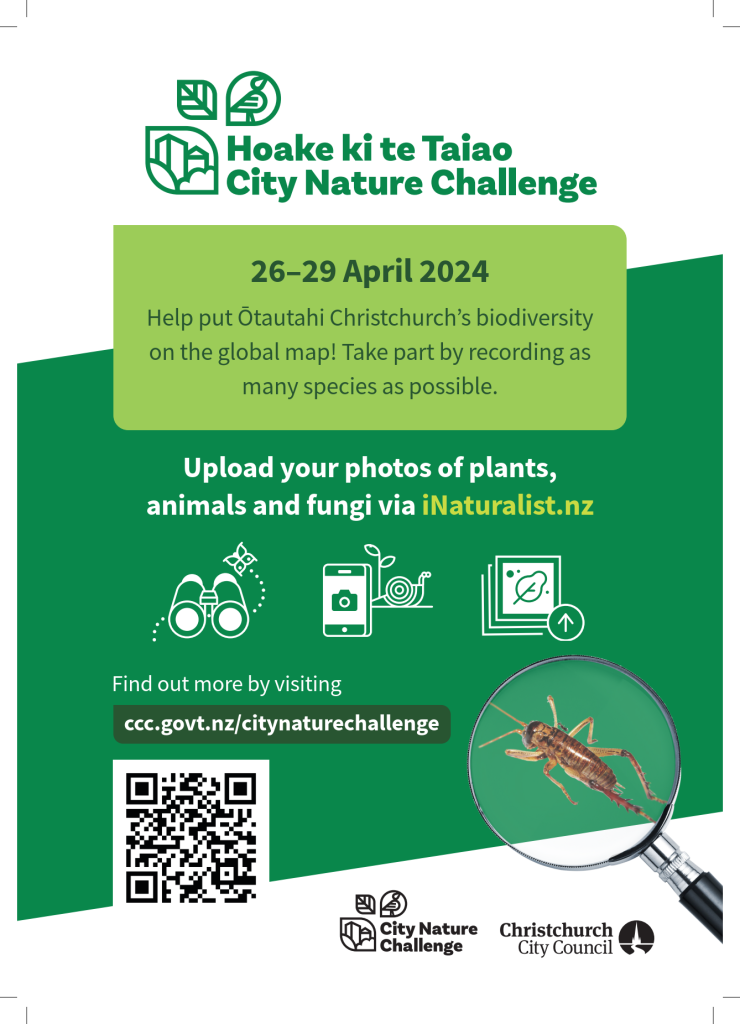 City Nature Challenge