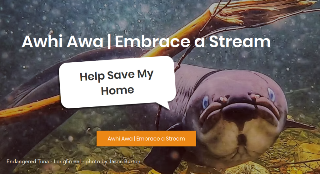 Awhi awa | Embrace a Stream
