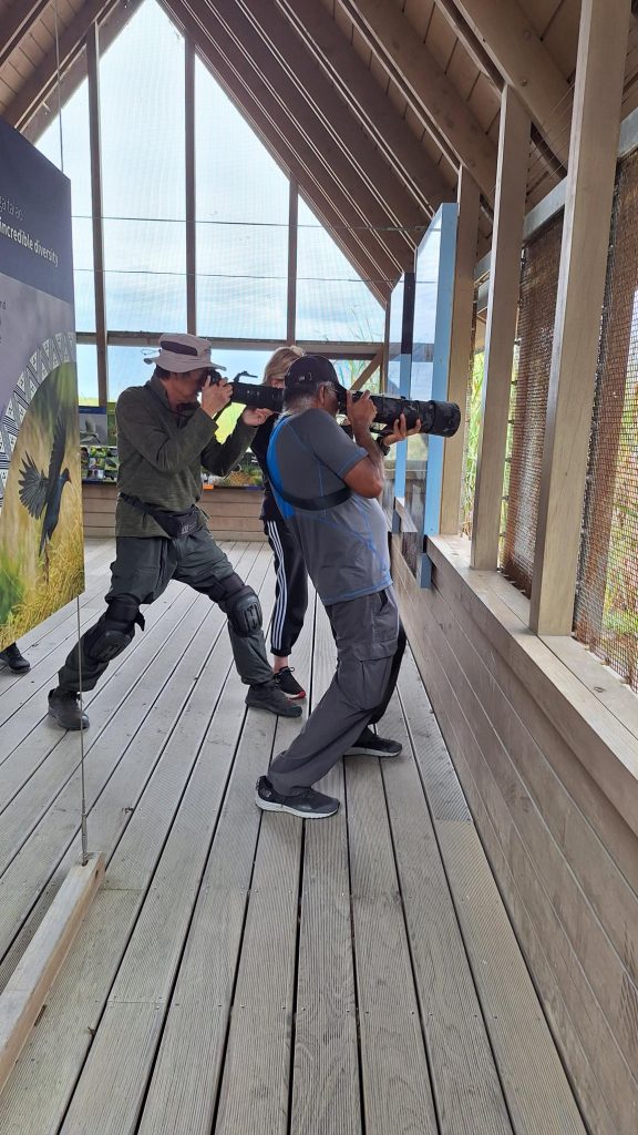 Birders photographing the marsh crake