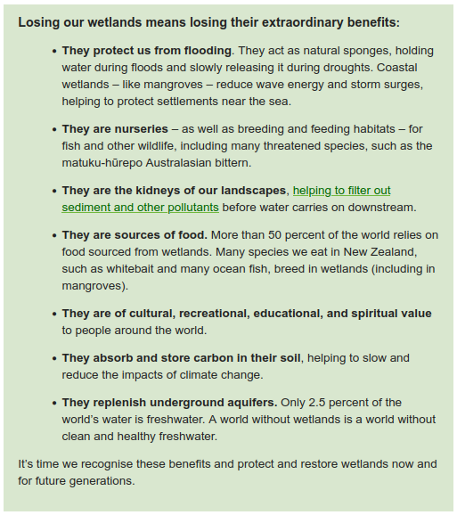 Wetland benefits