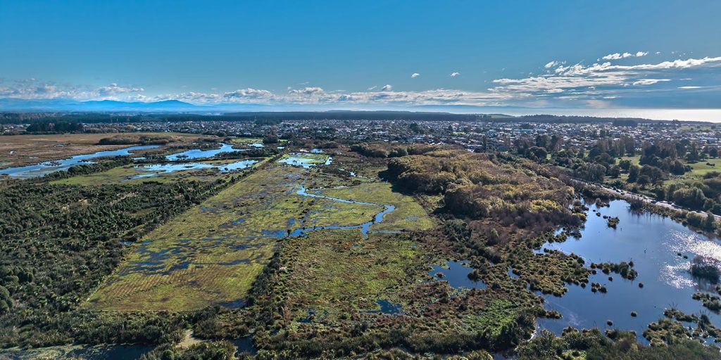 Hardrush corner (Frost Rd roundabout) from over the red zone. After rain.