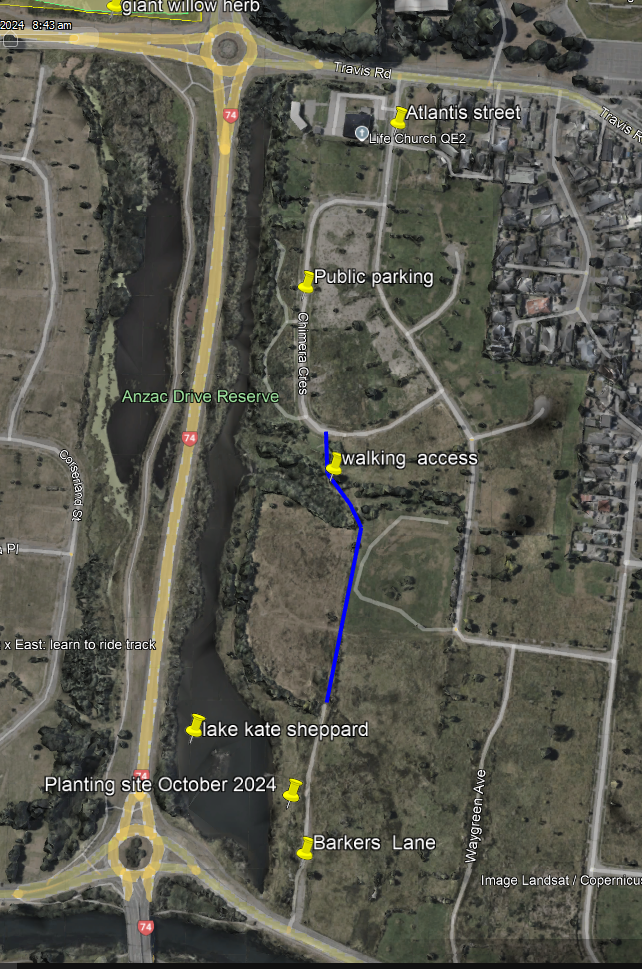 Map of 2025 TFC planting day location