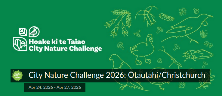 city nature challenge 2026