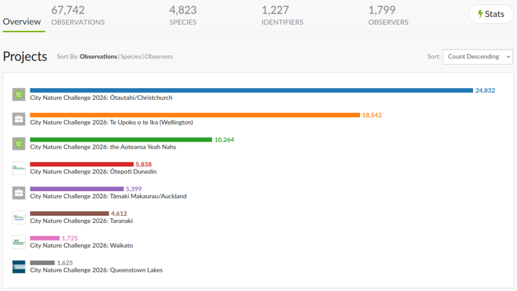 Aotearoa NZ City Nature Challenge leader board on 10 May