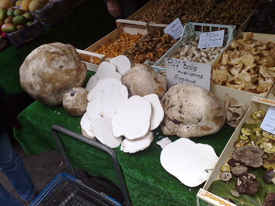 Puffballs on sale as food
