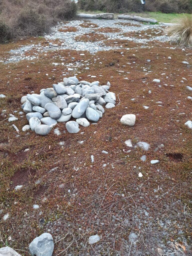 Misplaced stones in butterfly garden