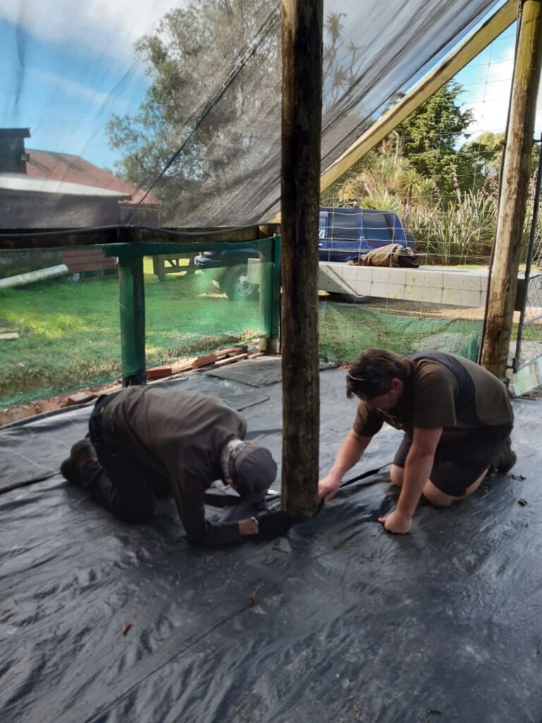 Restoring the shade house