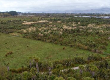 Tōtara Matāī forest (Southern Woods) from the air in 2020