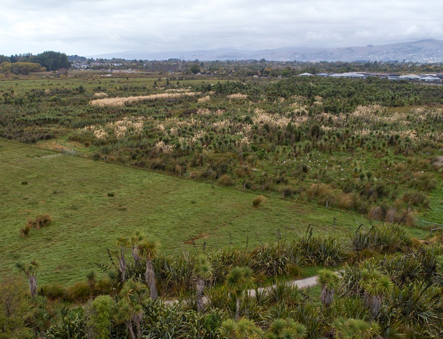 Tōtara Matāī forest (Southern Woods) from the air in 2020