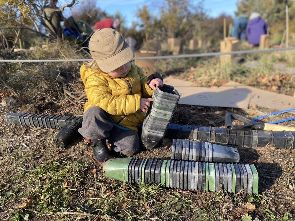 Checking the numbers planted