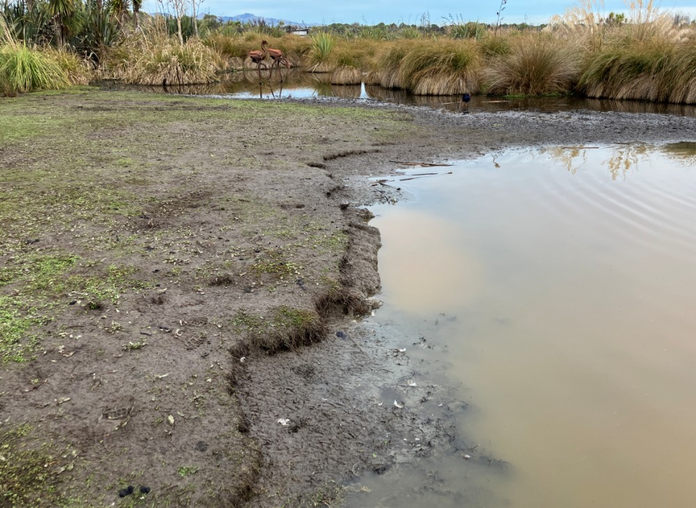 Bank erosion if front of the Info Centre
