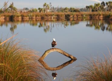 Looking West from the bird hide