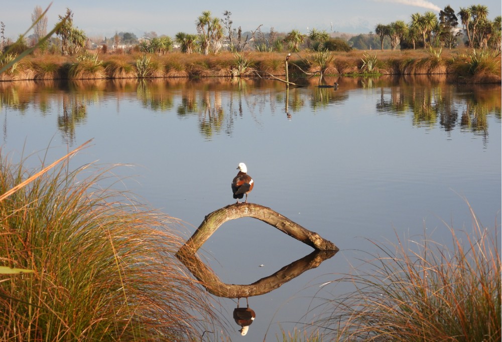 Looking West from the bird hide